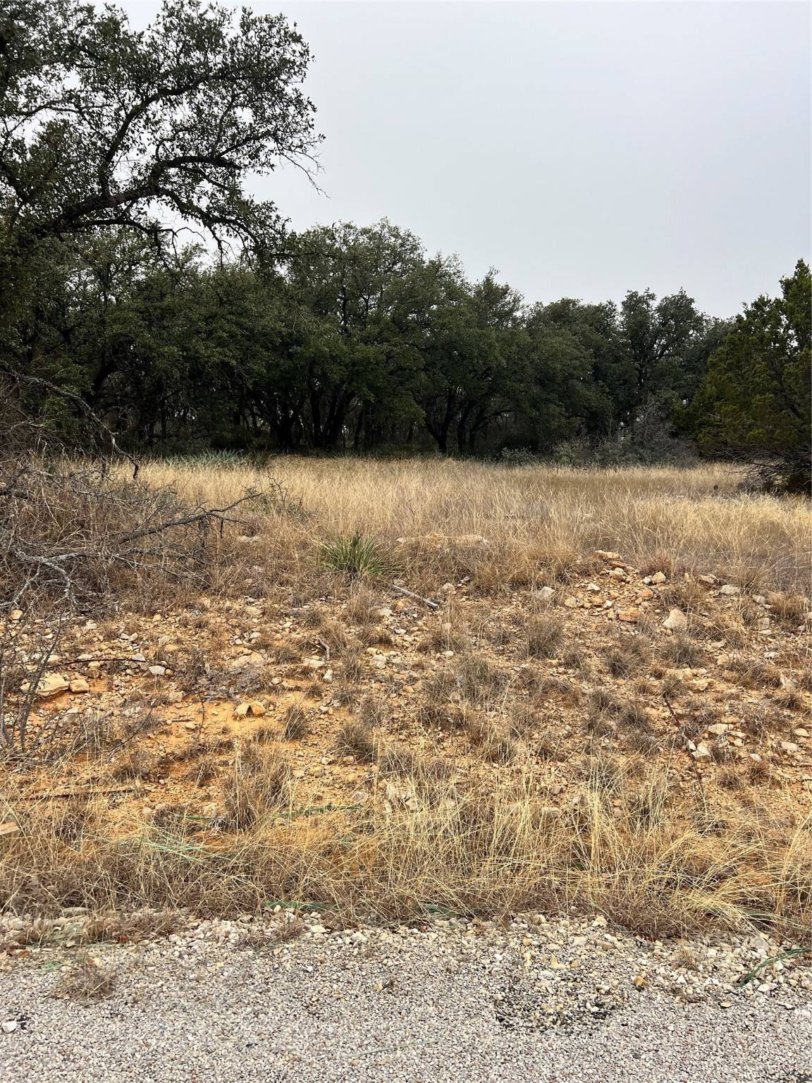 Brownwood, TX 76801,TBD 945 Sextant Circle DR