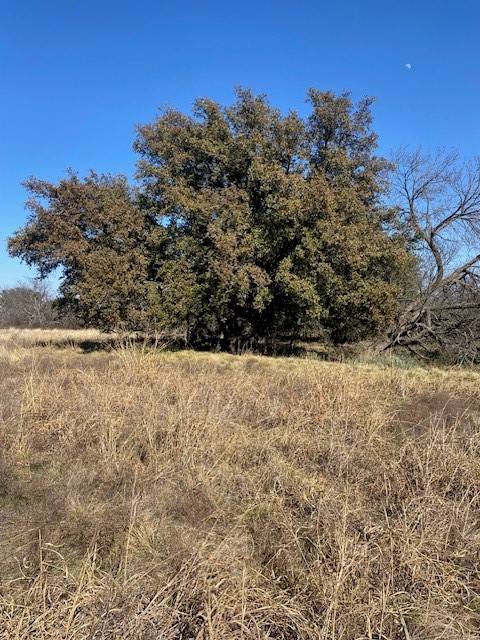 Cross Plains, TX 76443,TBD CR-188