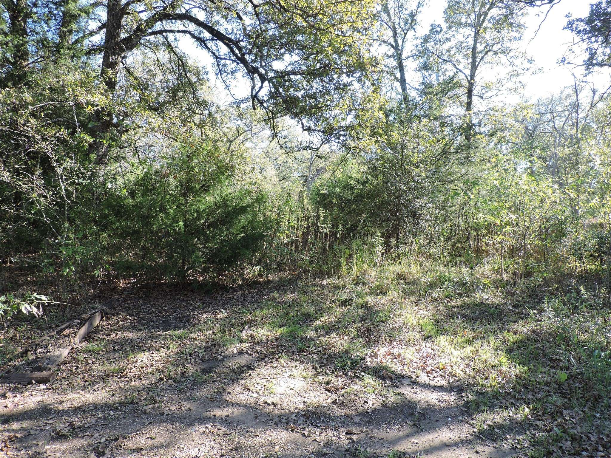 Trinidad, TX 75163,0 Tempie RD