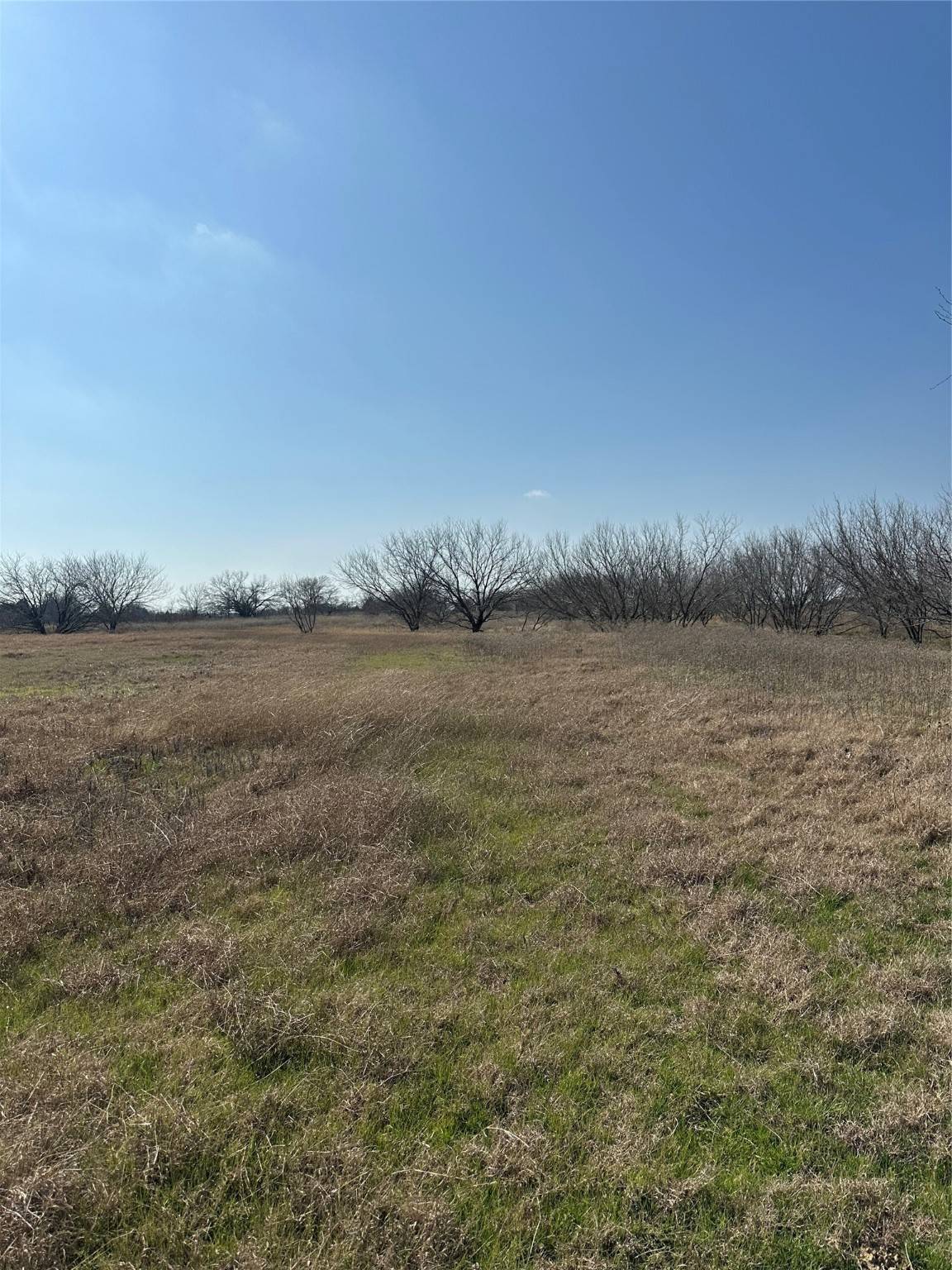 Barry, TX 75102,TBD NW County Road 1360