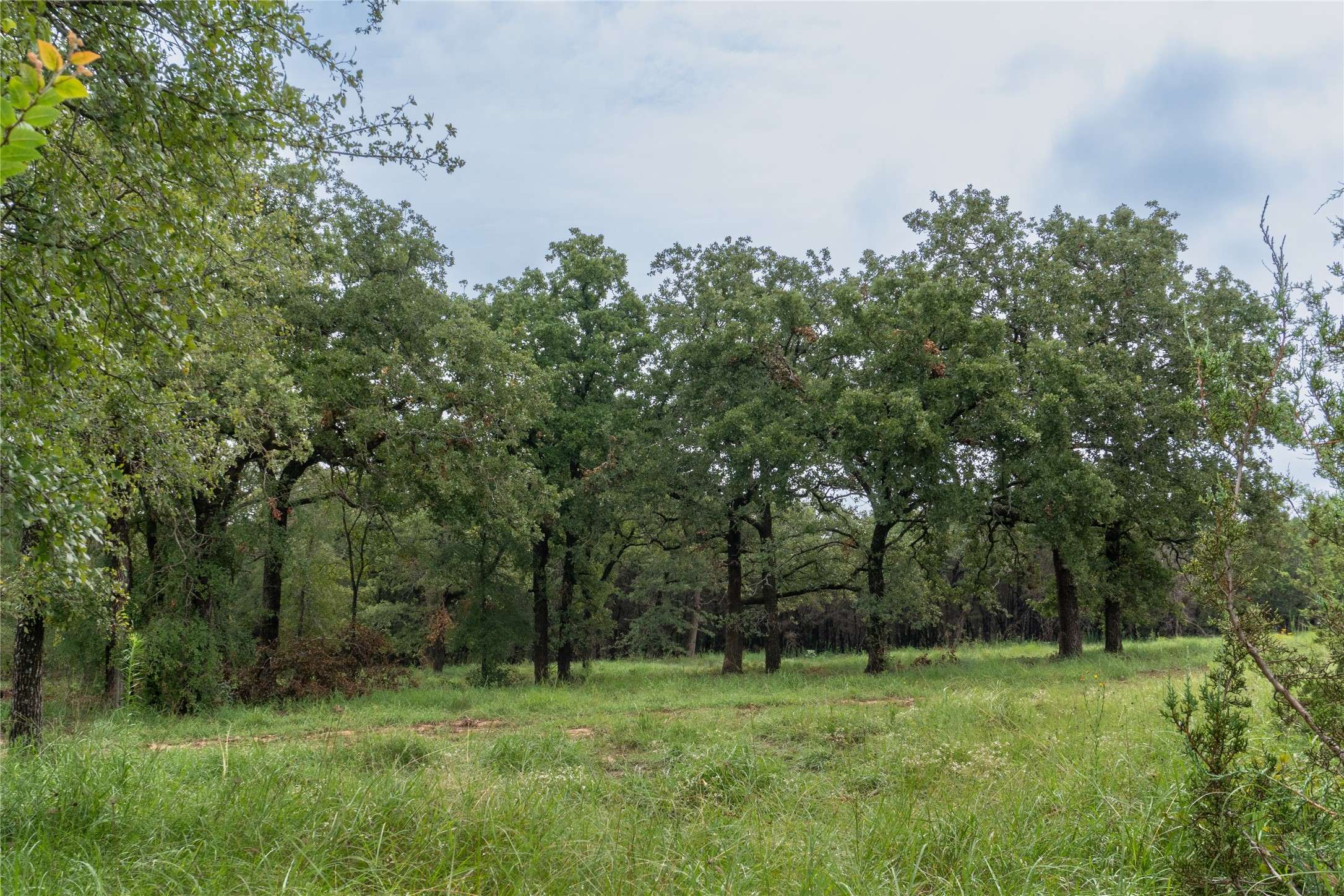 Tolar, TX 76476,T4 Coleman Ranch RD