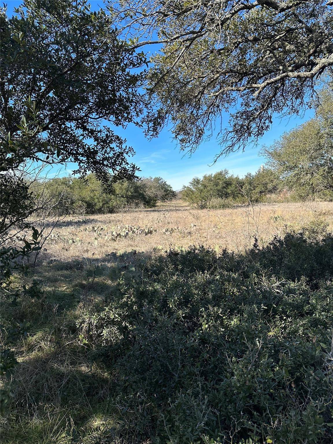 Brownwood, TX 76801,127 Woods Landing DR