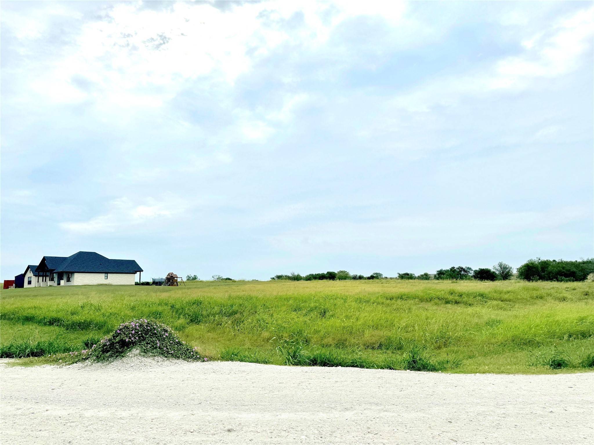Mount Calm, TX 76673,000 Mockingbird DR