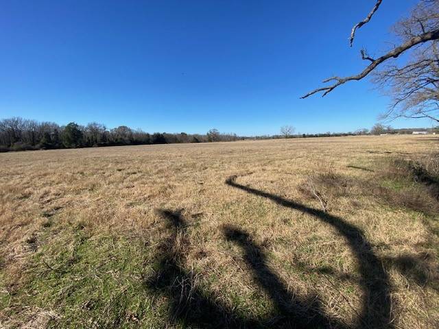 Buffalo, TX 75831,0 CR 278