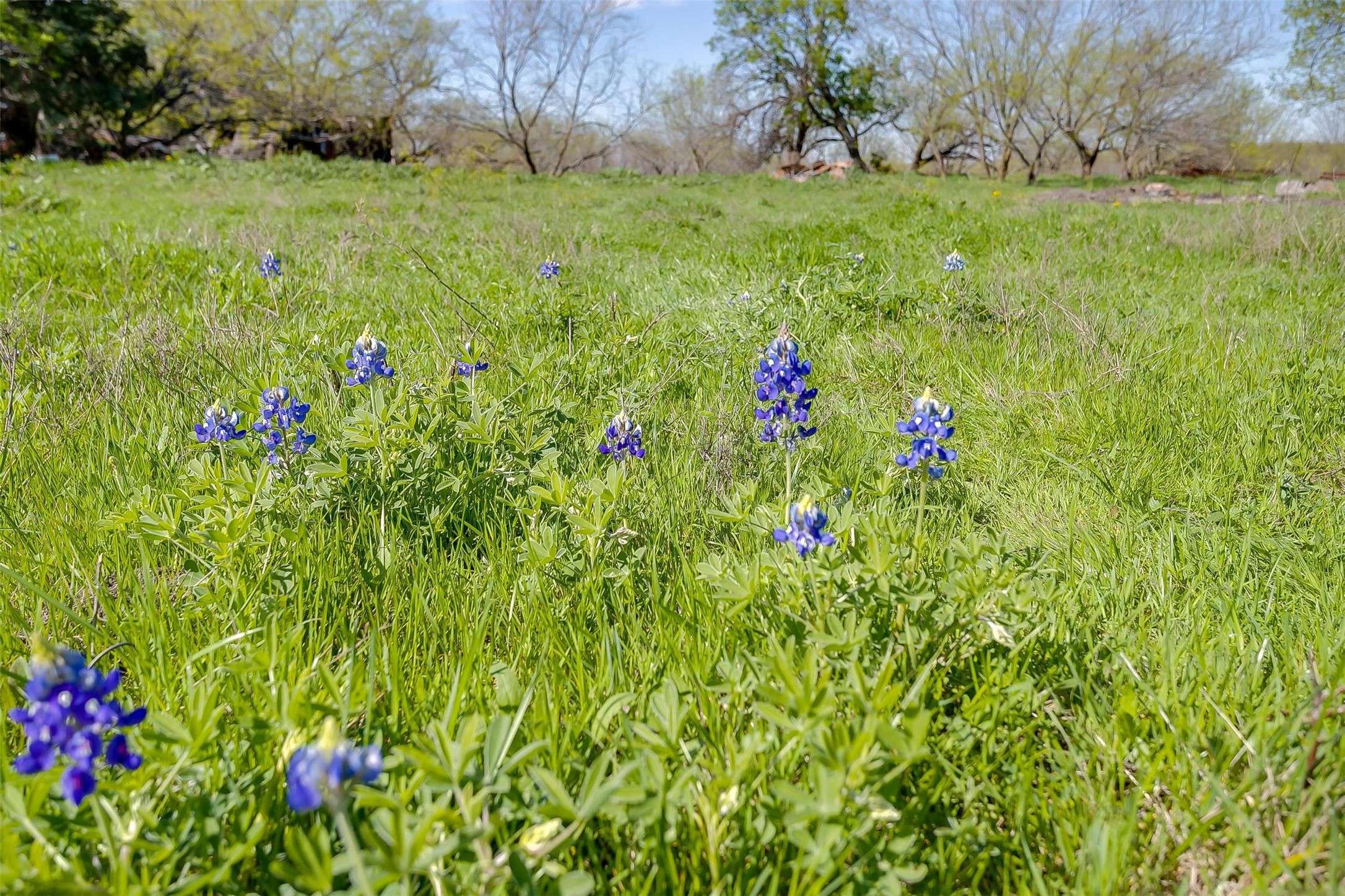 Ennis, TX 75119,TBD Prachyl RD