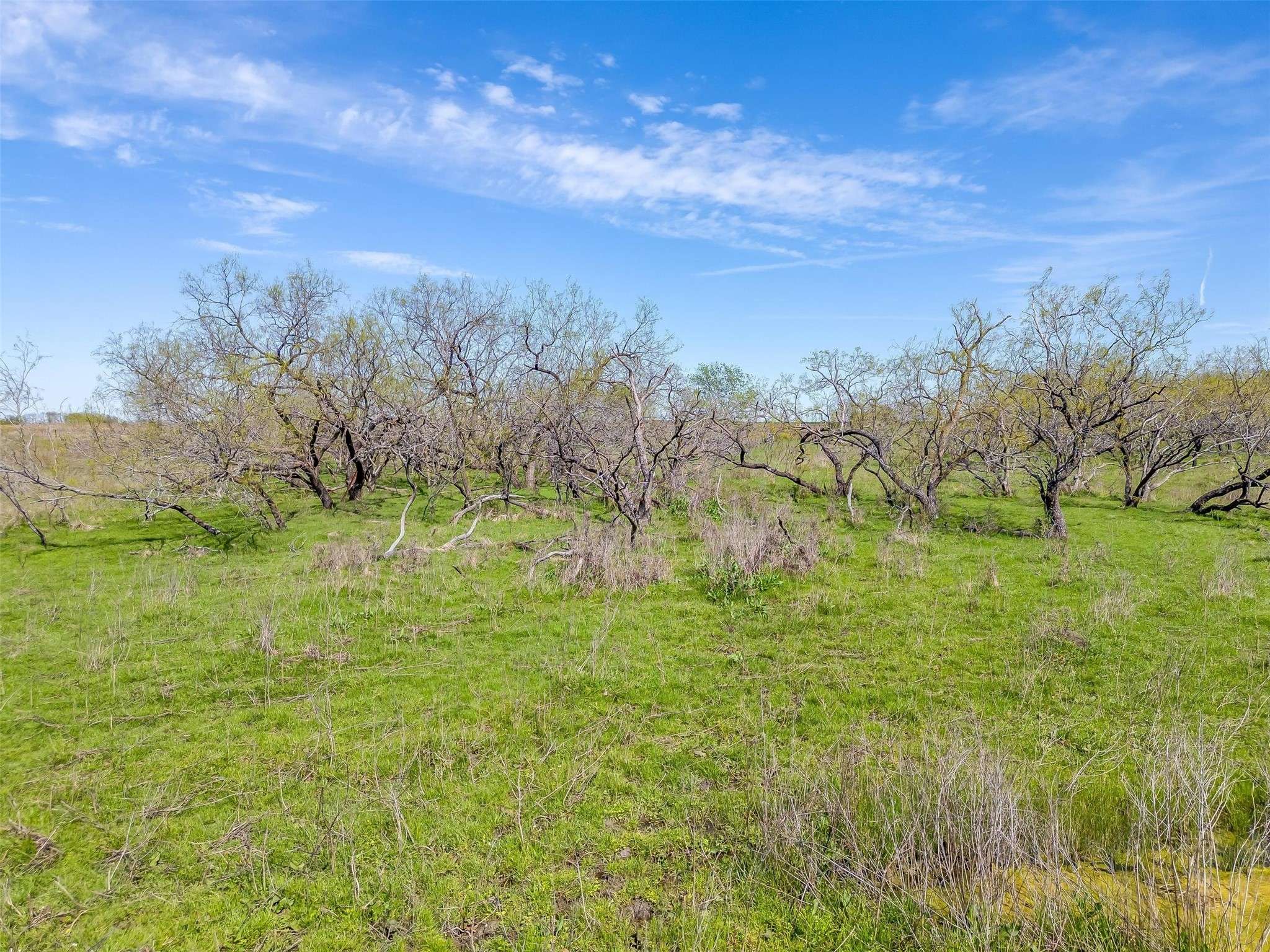 Ennis, TX 75119,TBD Prachyl RD