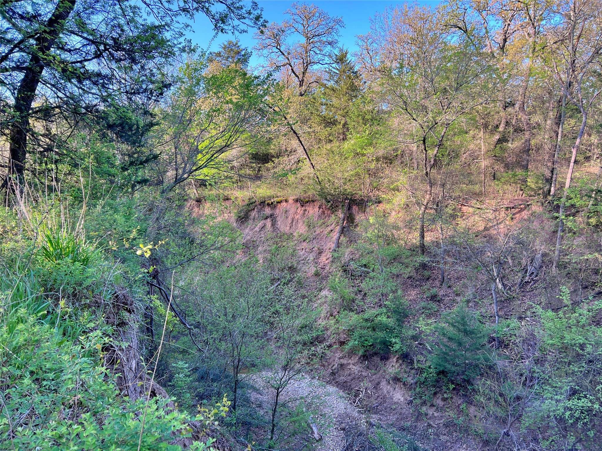 Muenster, TX 76252,0000 County Road 417