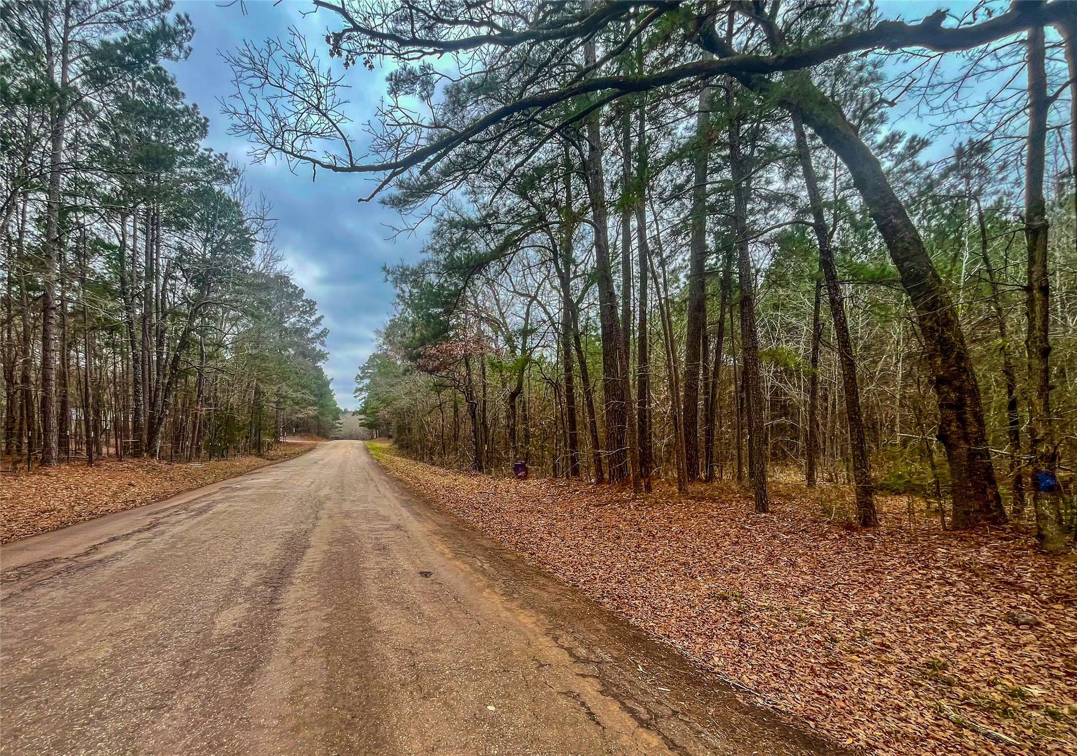 Henderson, TX 75652,0 N CR 102