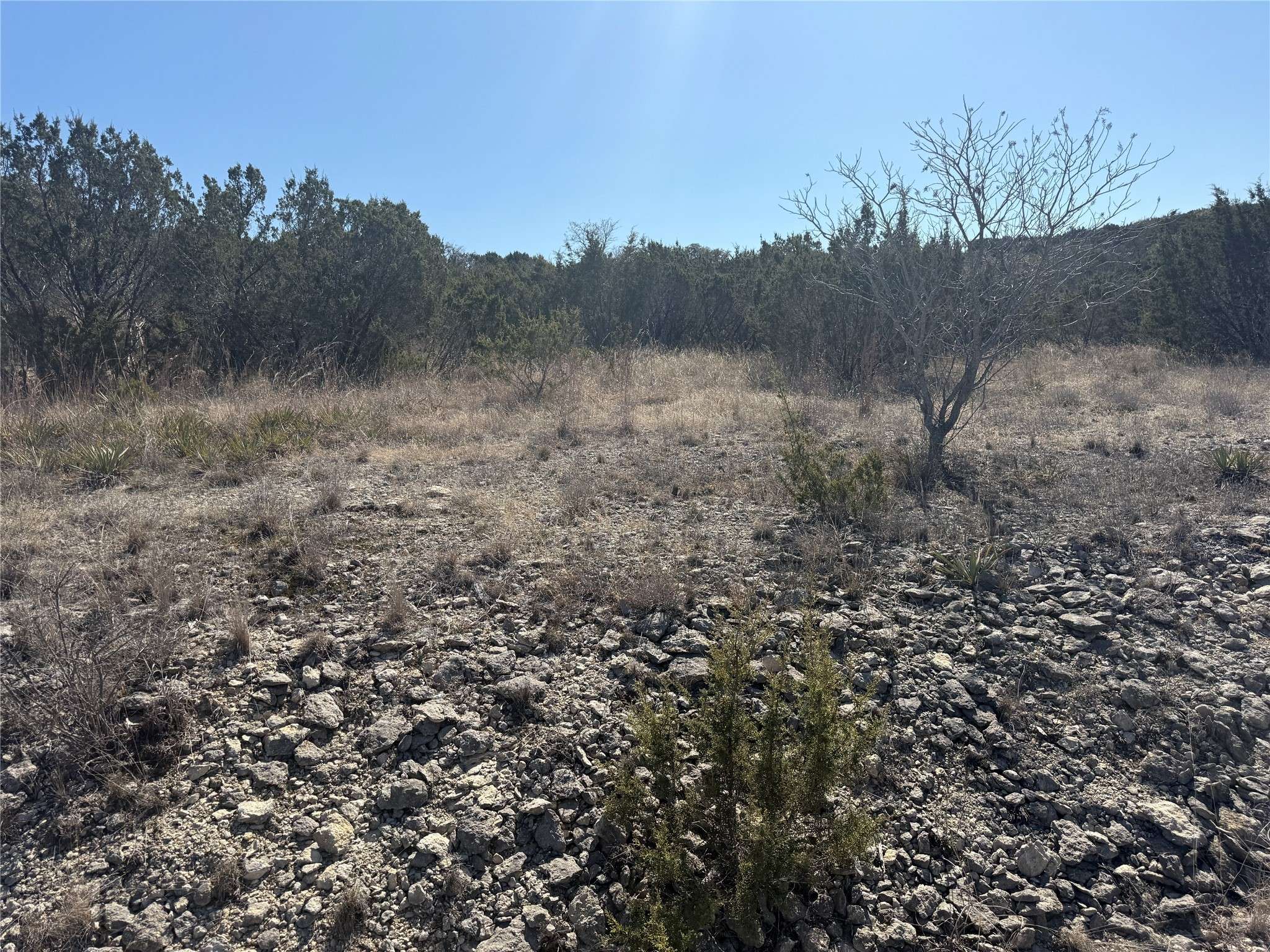 Bluff Dale, TX 76433,785 Blue Marlin CT