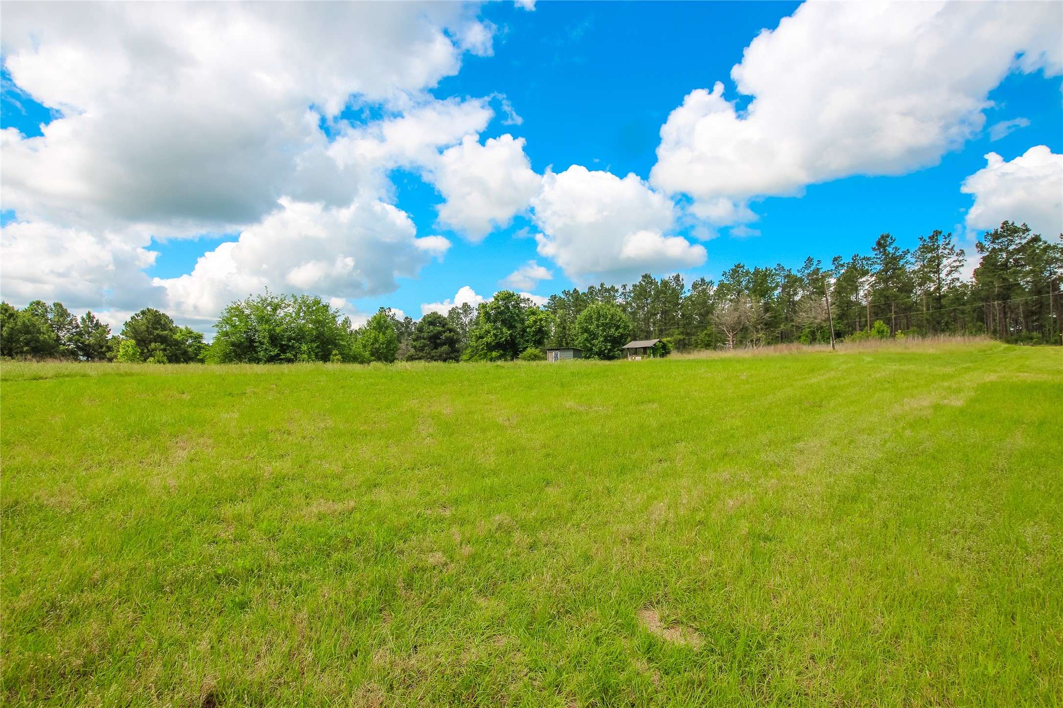 Troup, TX 75789,TBD County Road 2178