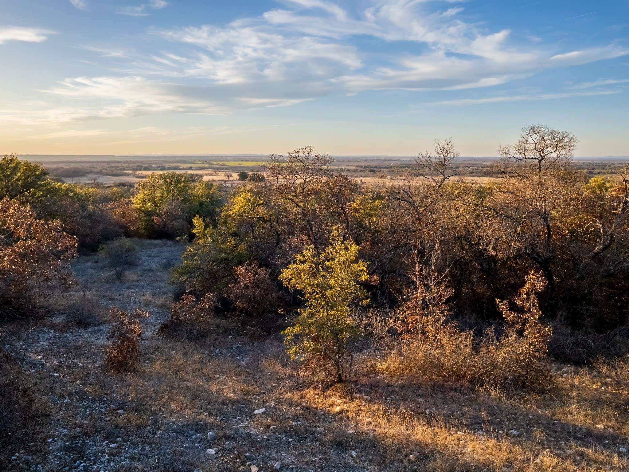 Coleman, TX 76834,351 County Road 477