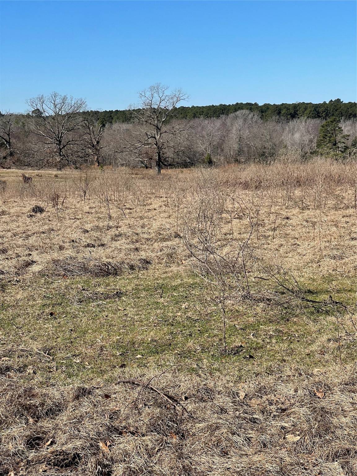 Tyler, TX 75705,7979 County Road 398