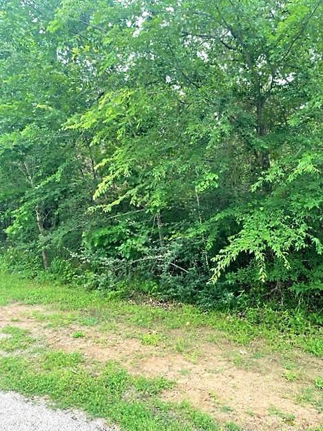 Log Cabin, TX 75148,TBD Sam Houston