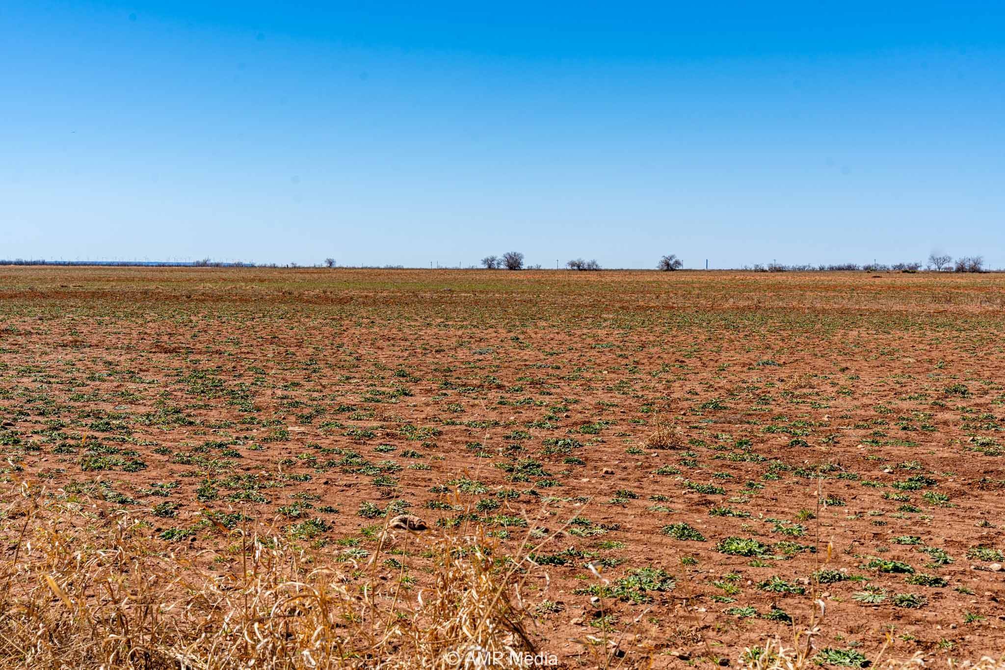 Merkel, TX 79536,TRACT 7 TBD COUNTY ROAD 415