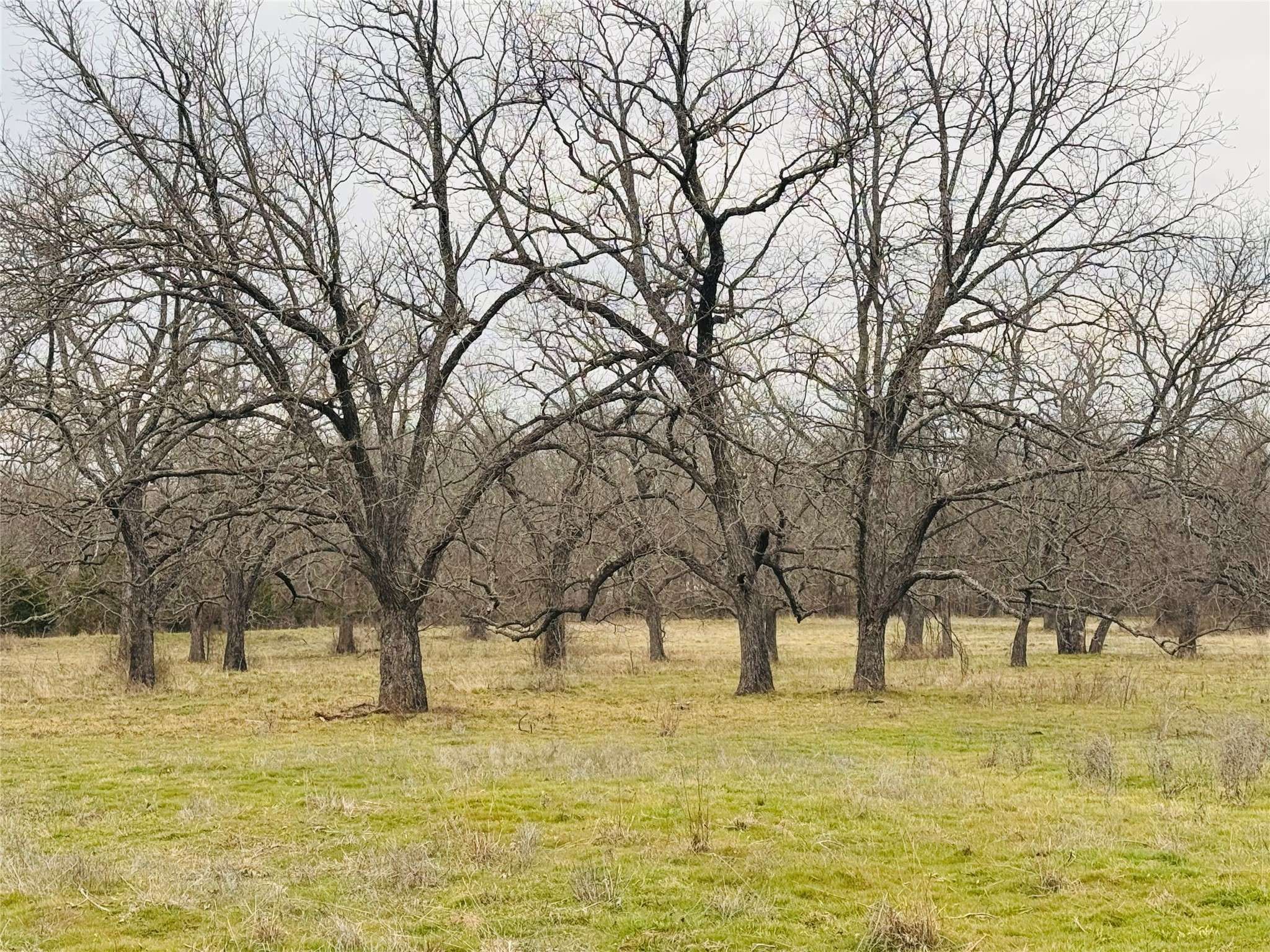 Sadler, TX 76264,600 Gilbreath