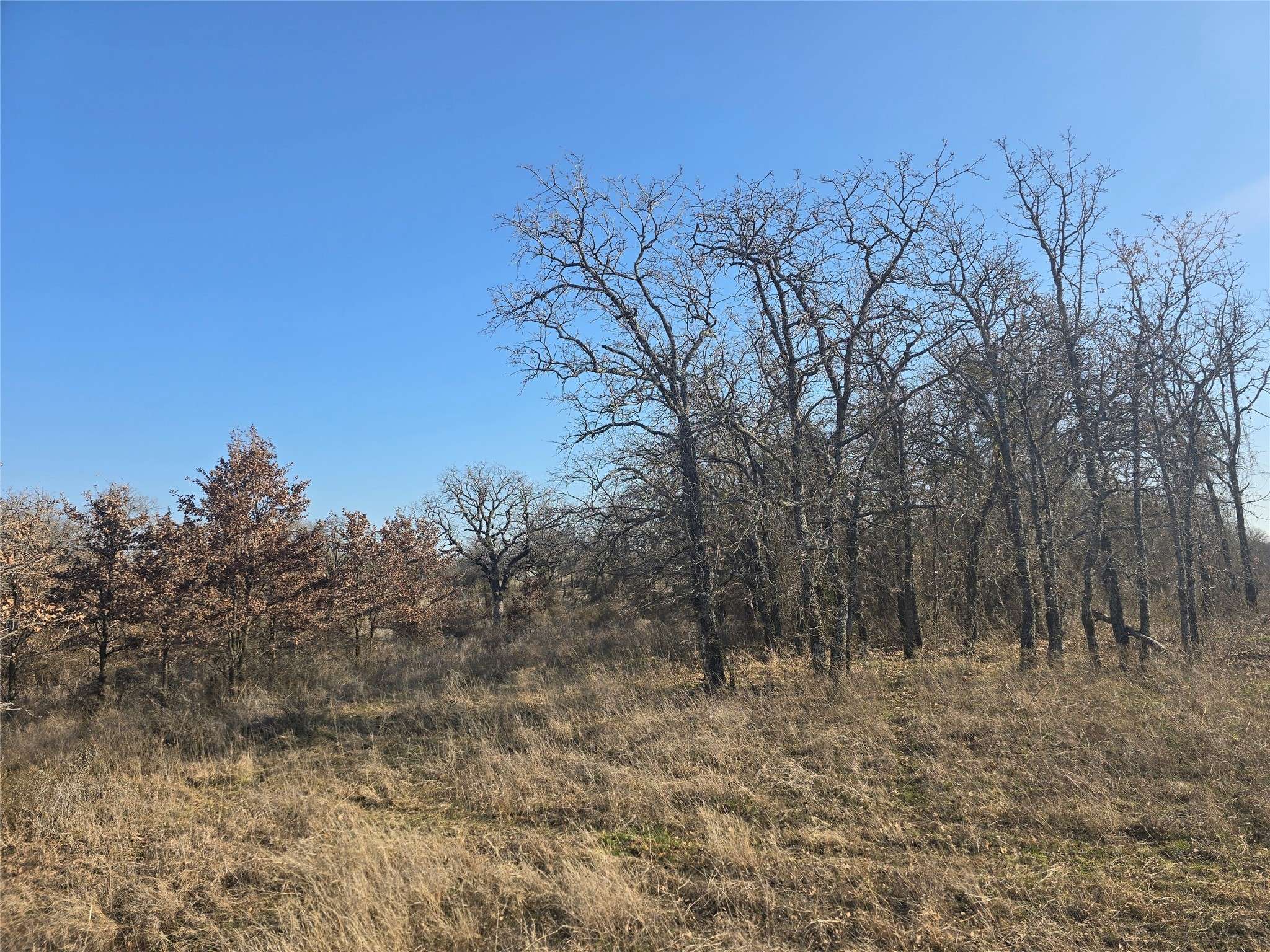 Poolville, TX 76487,1017 VH Ranch RD