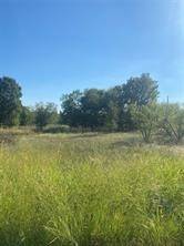 Bridgeport, TX 76426,Lot 102 Brookview CT