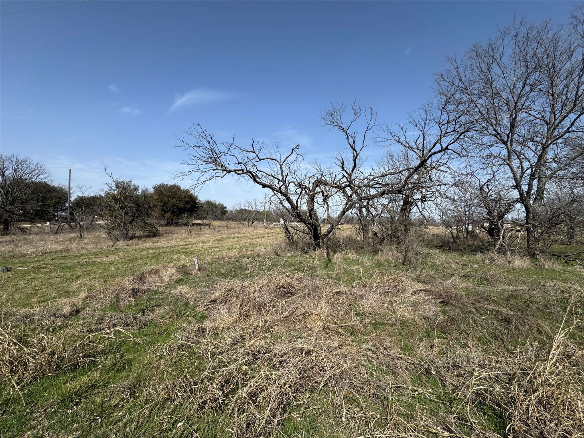 Bridgeport, TX 76426,0000 Ringo DR
