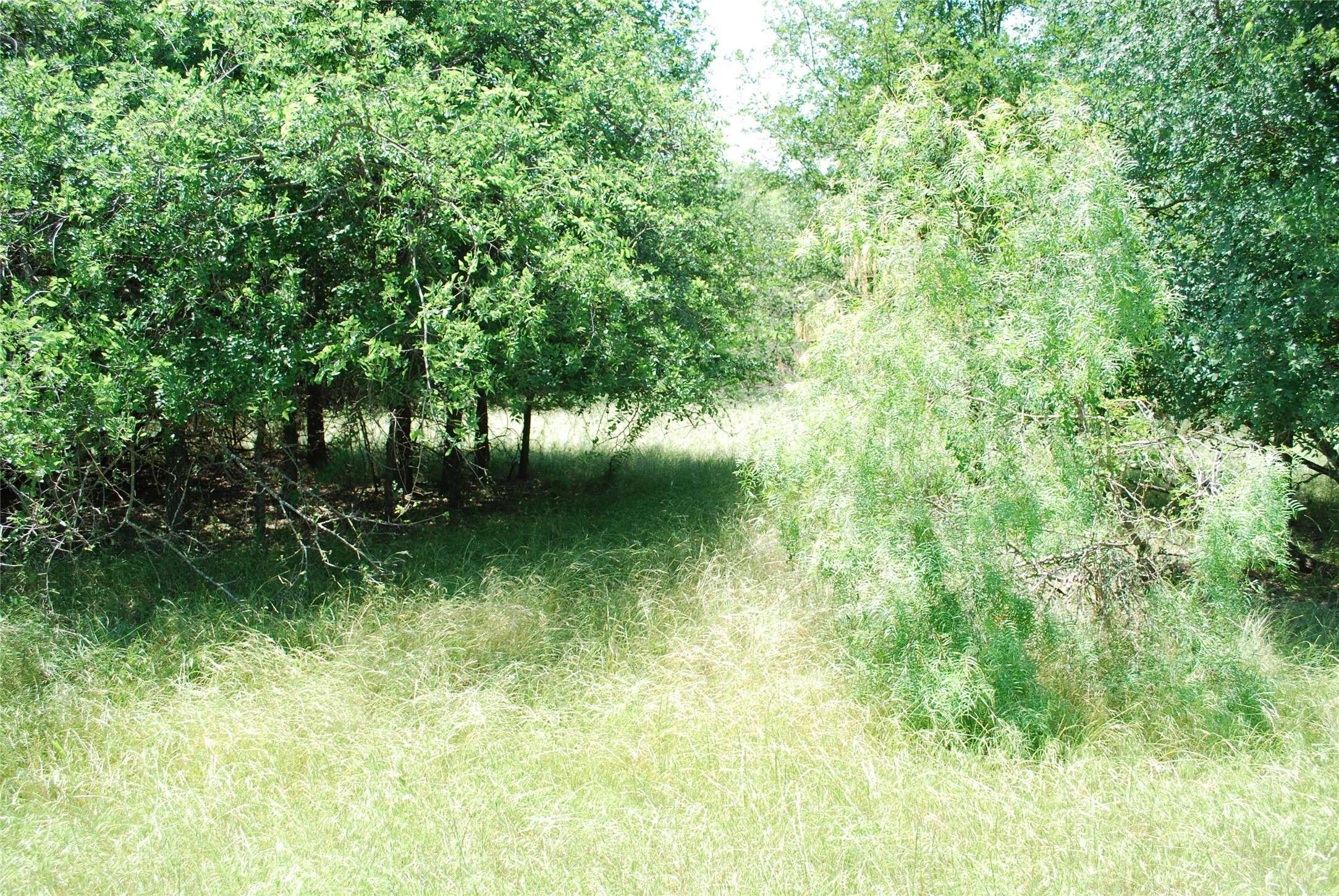 Whitney, TX 76692,17001 Trailwood DR