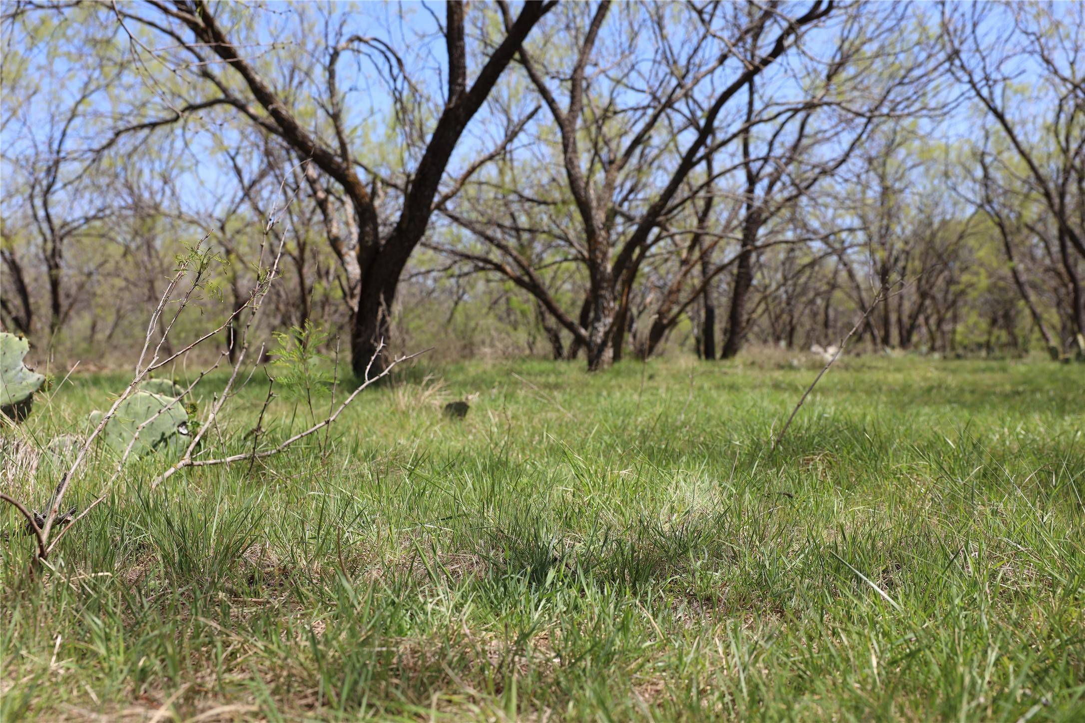 Gordon, TX 76453,TBD Mitchell Hill Road