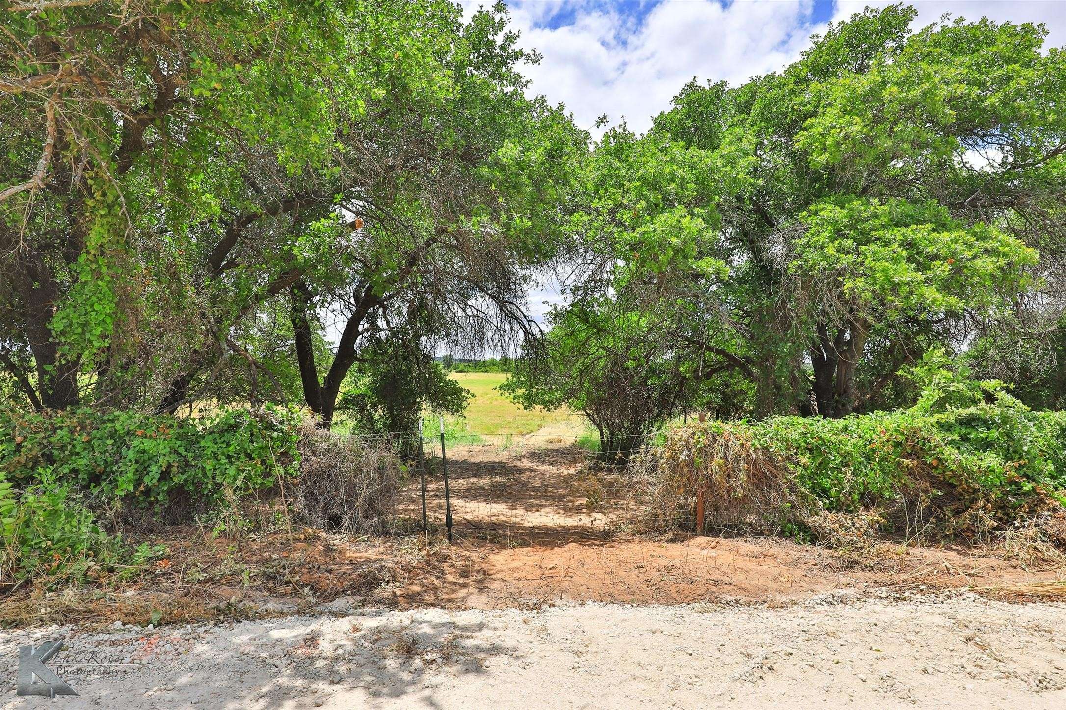 Clyde, TX 79510,TBD County Rd 226