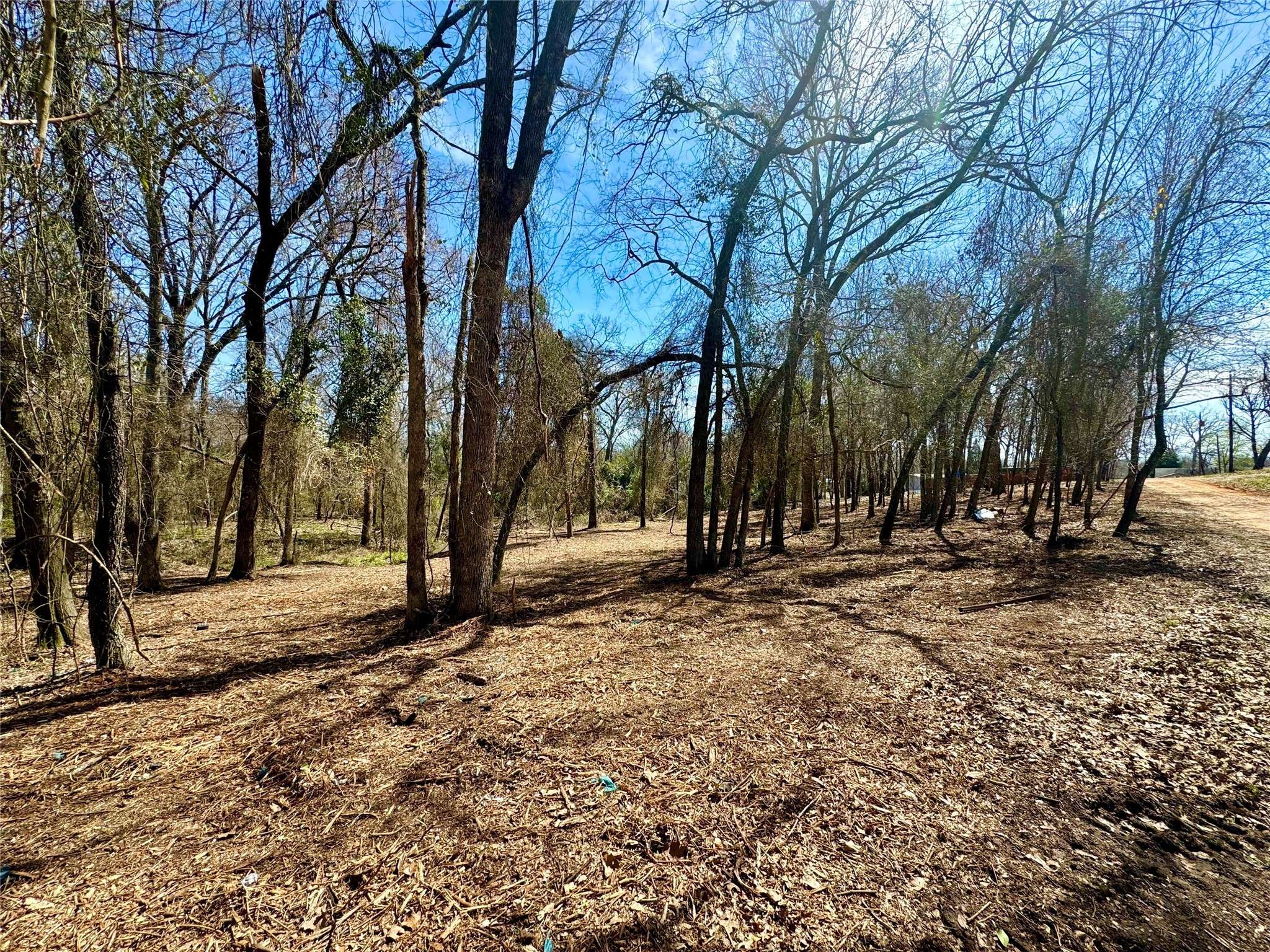 Mabank, TX 75156,000 Plum ST