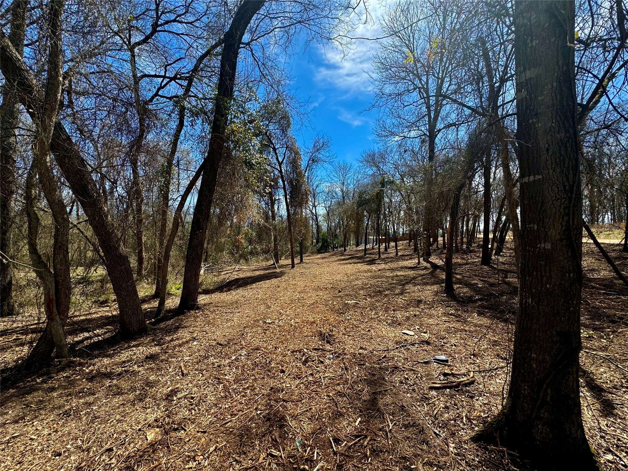 Mabank, TX 75156,000 Plum ST