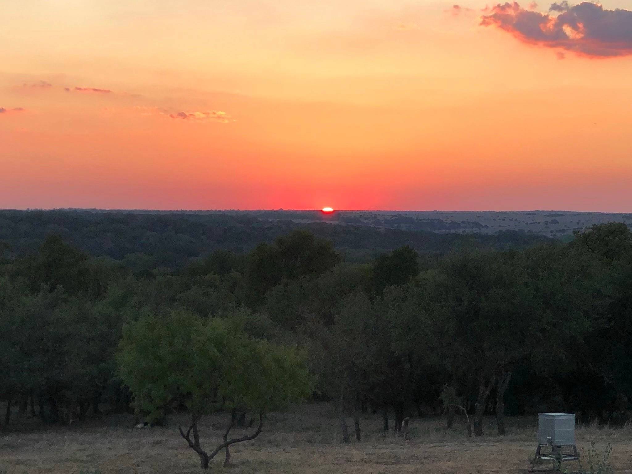 Hamilton, TX 76531,1782 FM 218