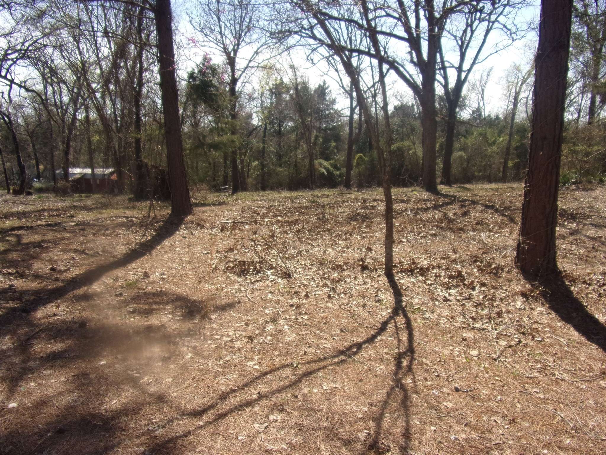 Murchison, TX 75778,tbd Broad Meadow