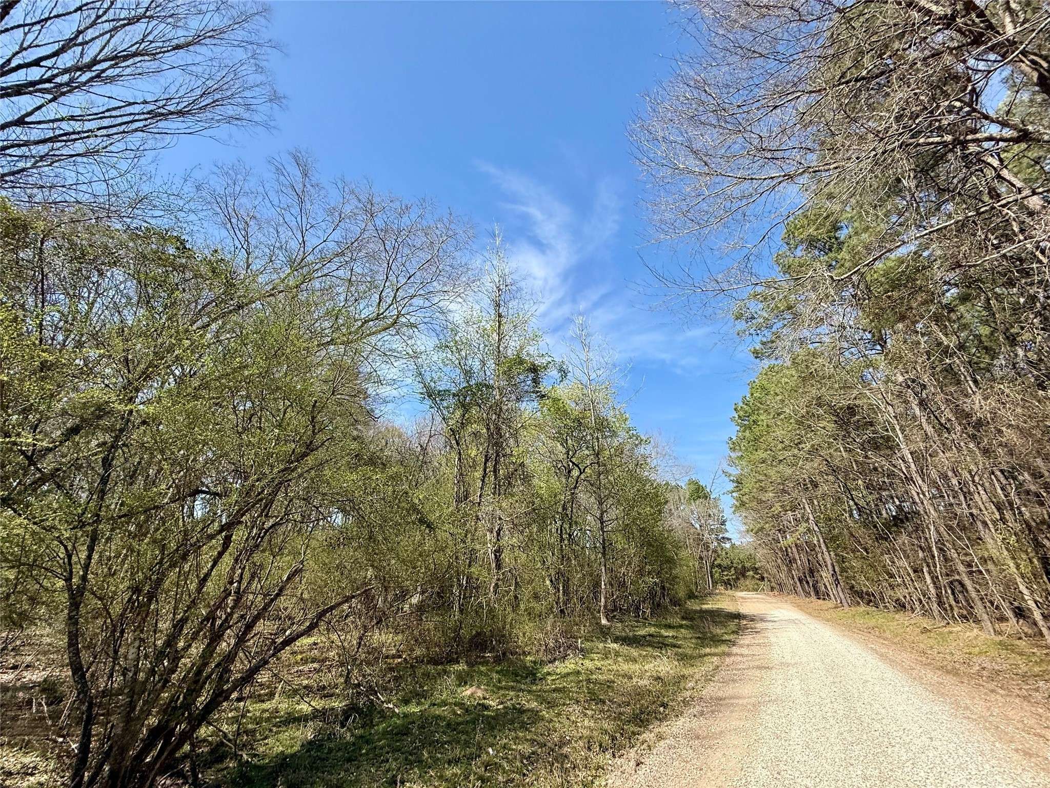 Stonewall, LA 71078,Lot 2 Stanley RD