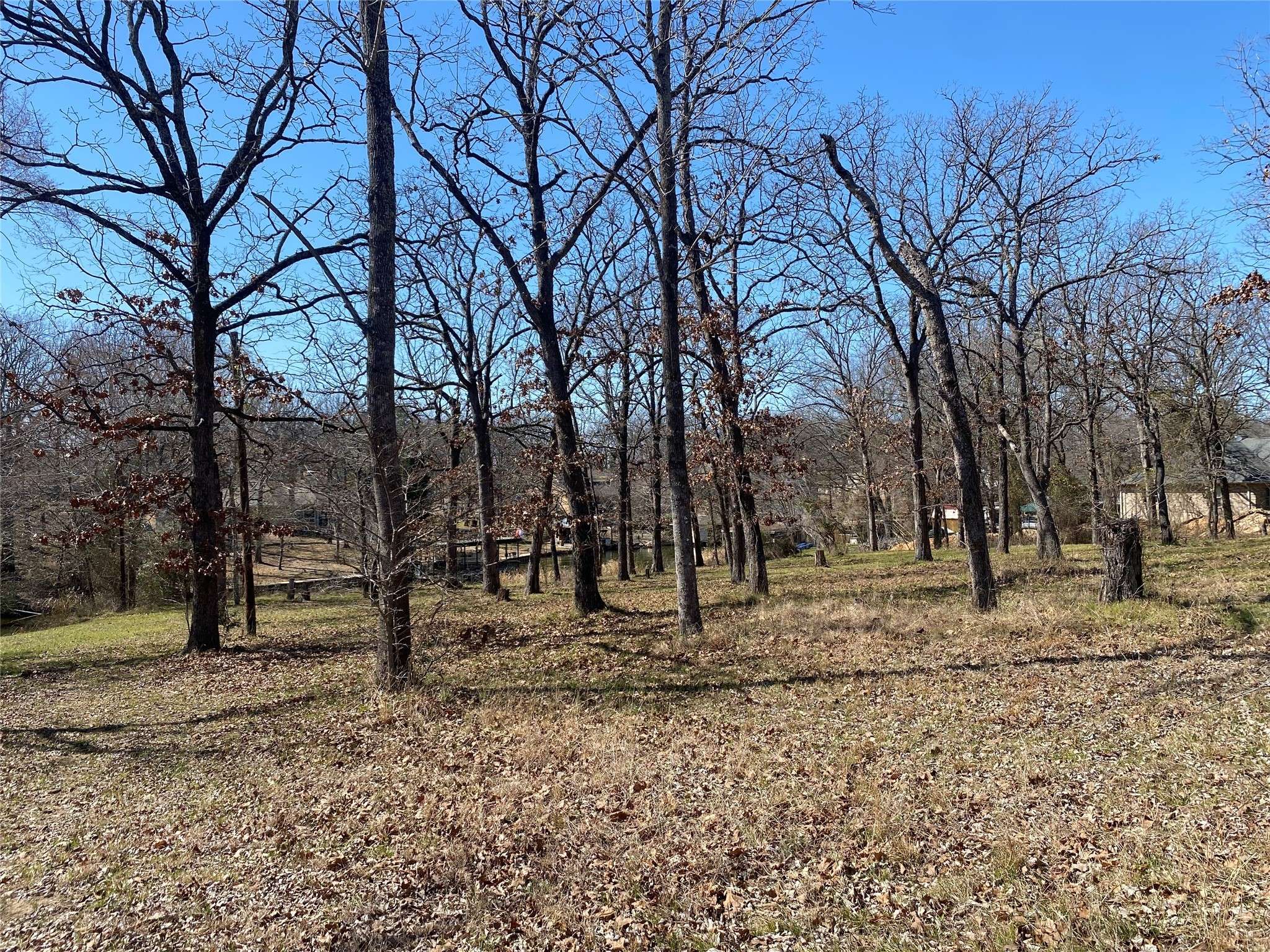 Malakoff, TX 75148,124 Point La VIS