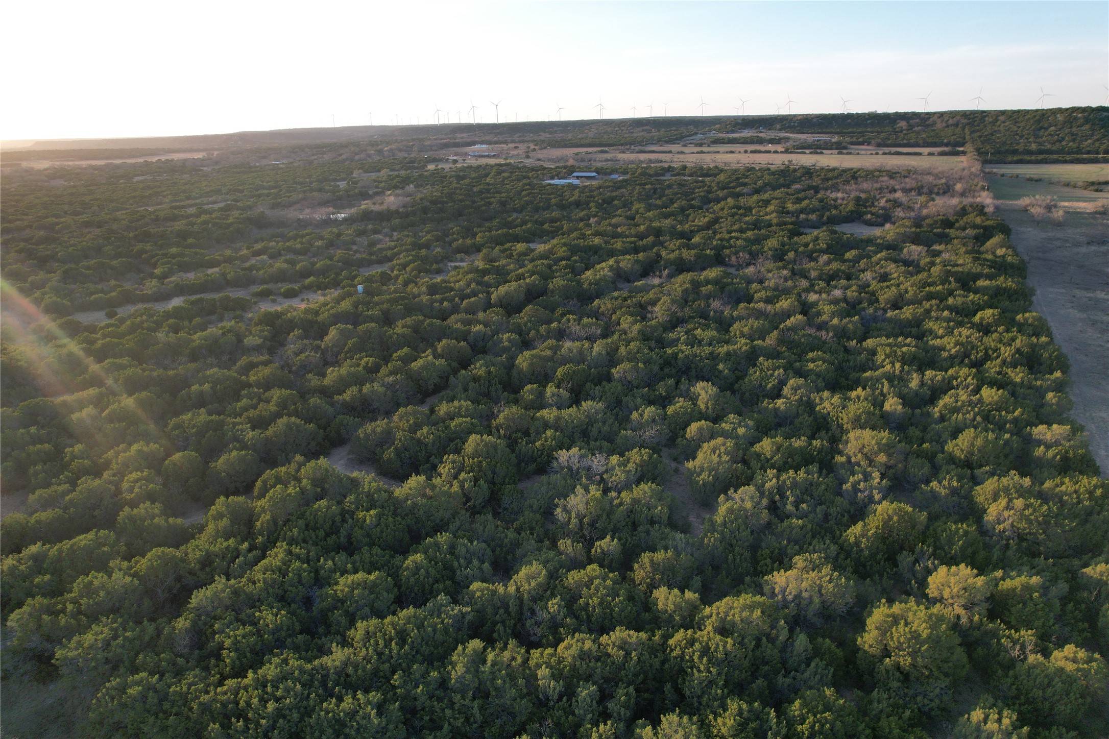 Ovalo, TX 79541,TBD County Rd 207