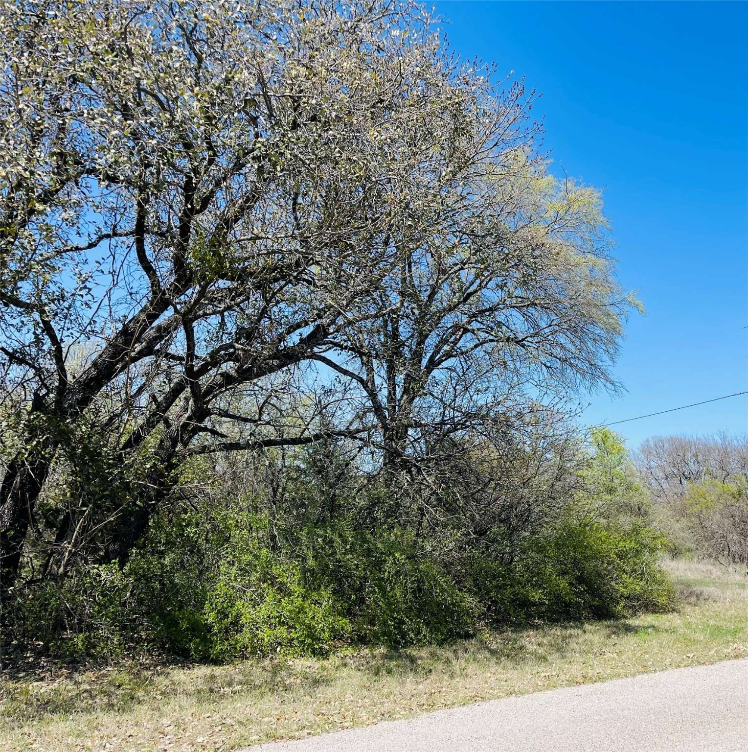 Whitney, TX 76692,1179 Leaning Oak TRL