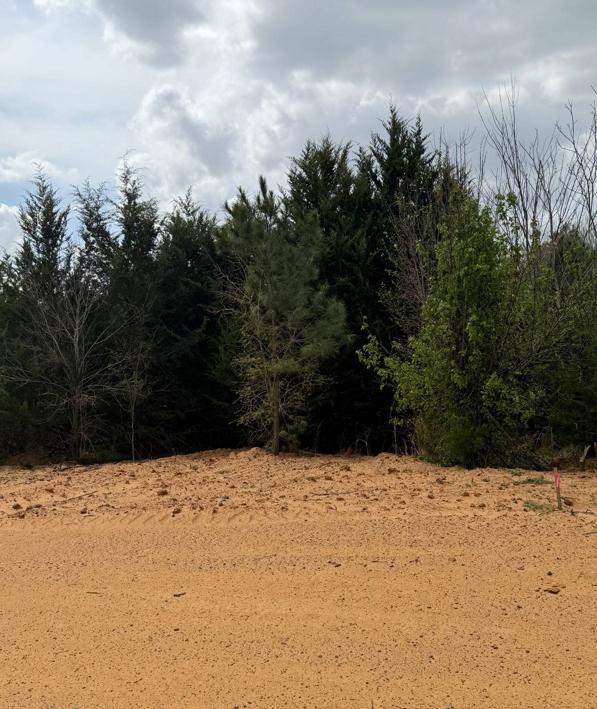 Coyote Flats, TX 76031,3552 FM 3136 LOT 11