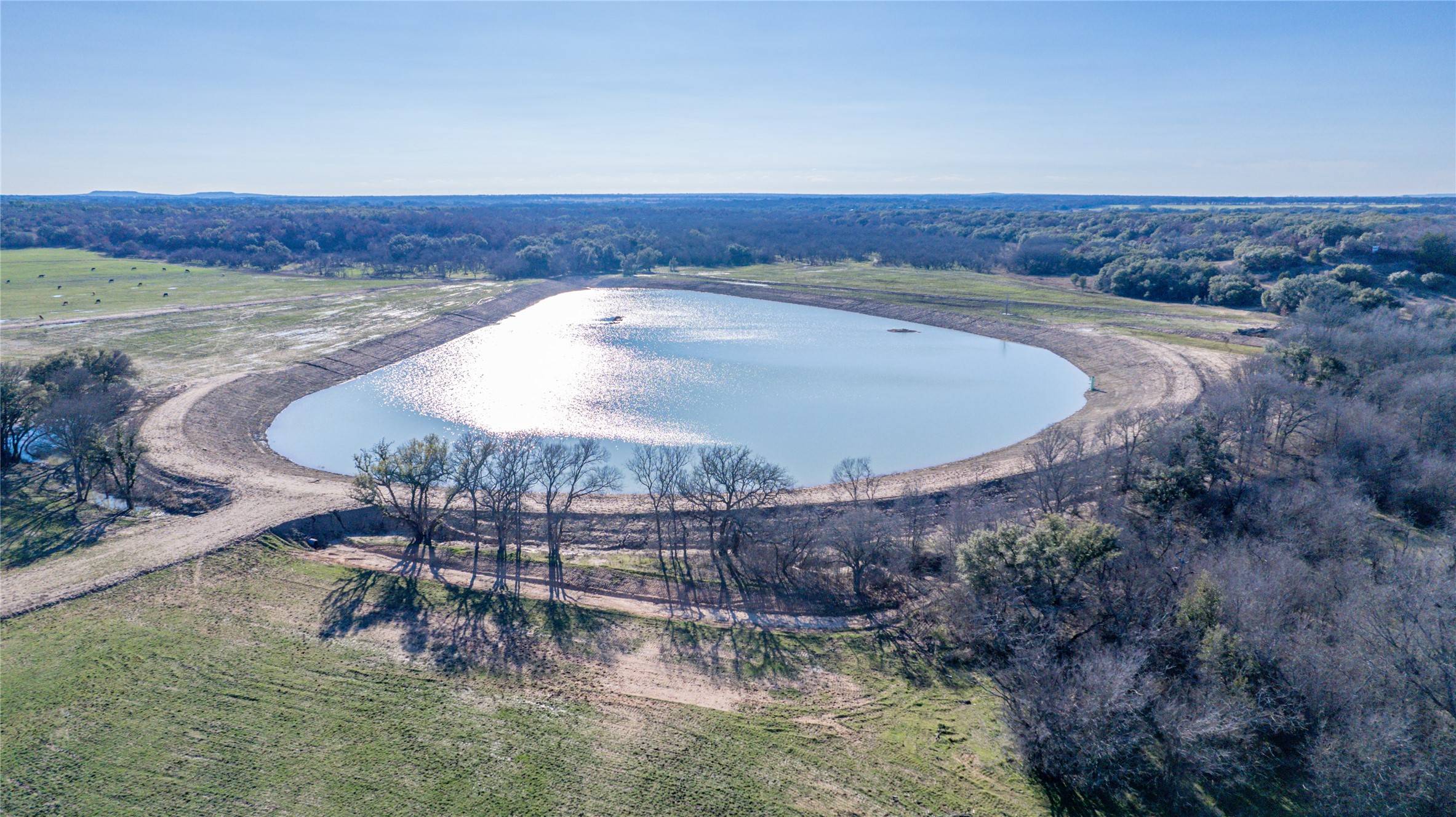 Carbon, TX 76435,TBD CR 290