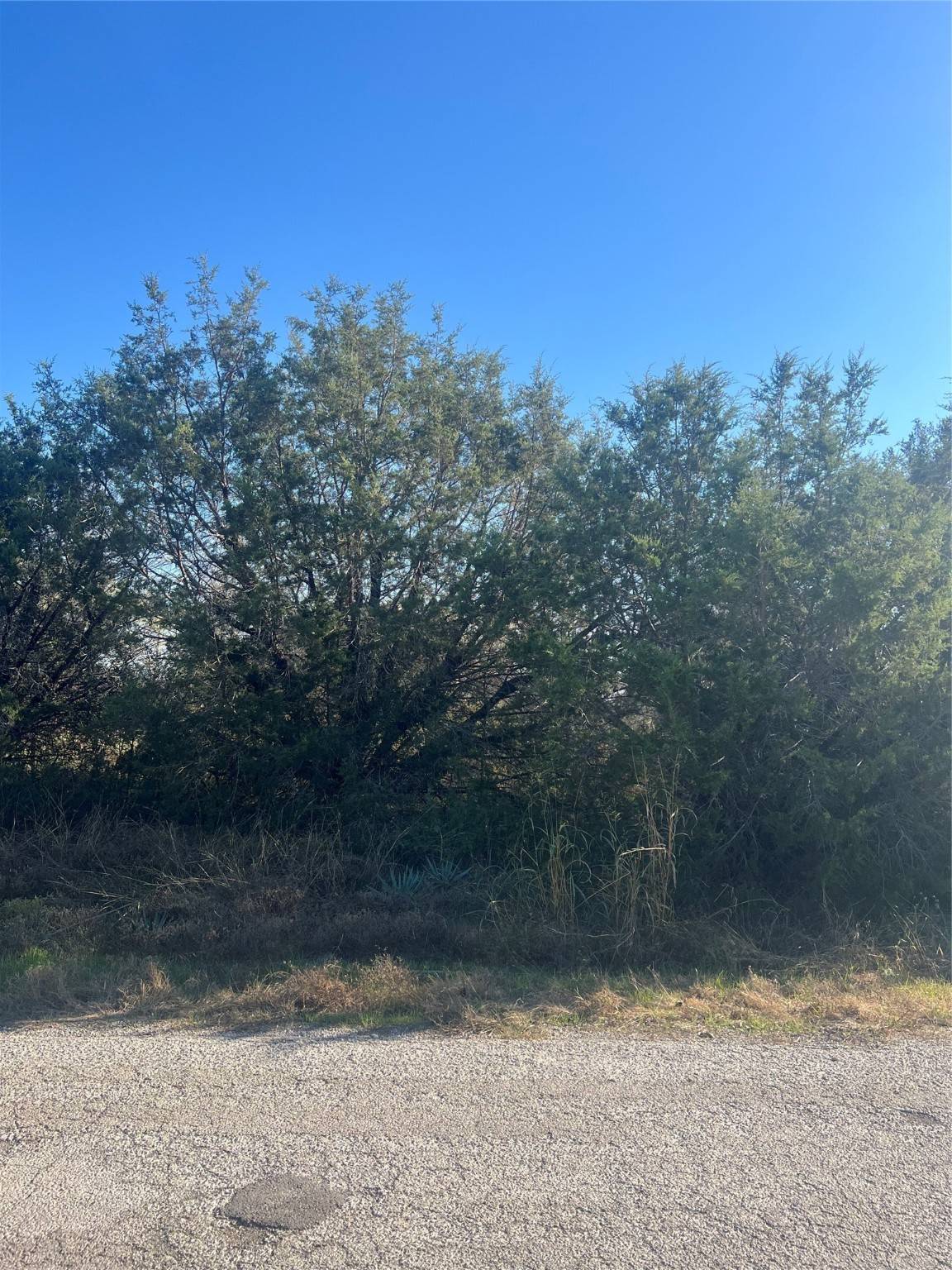 Granbury, TX 76048,2921 BLACKJACK LN