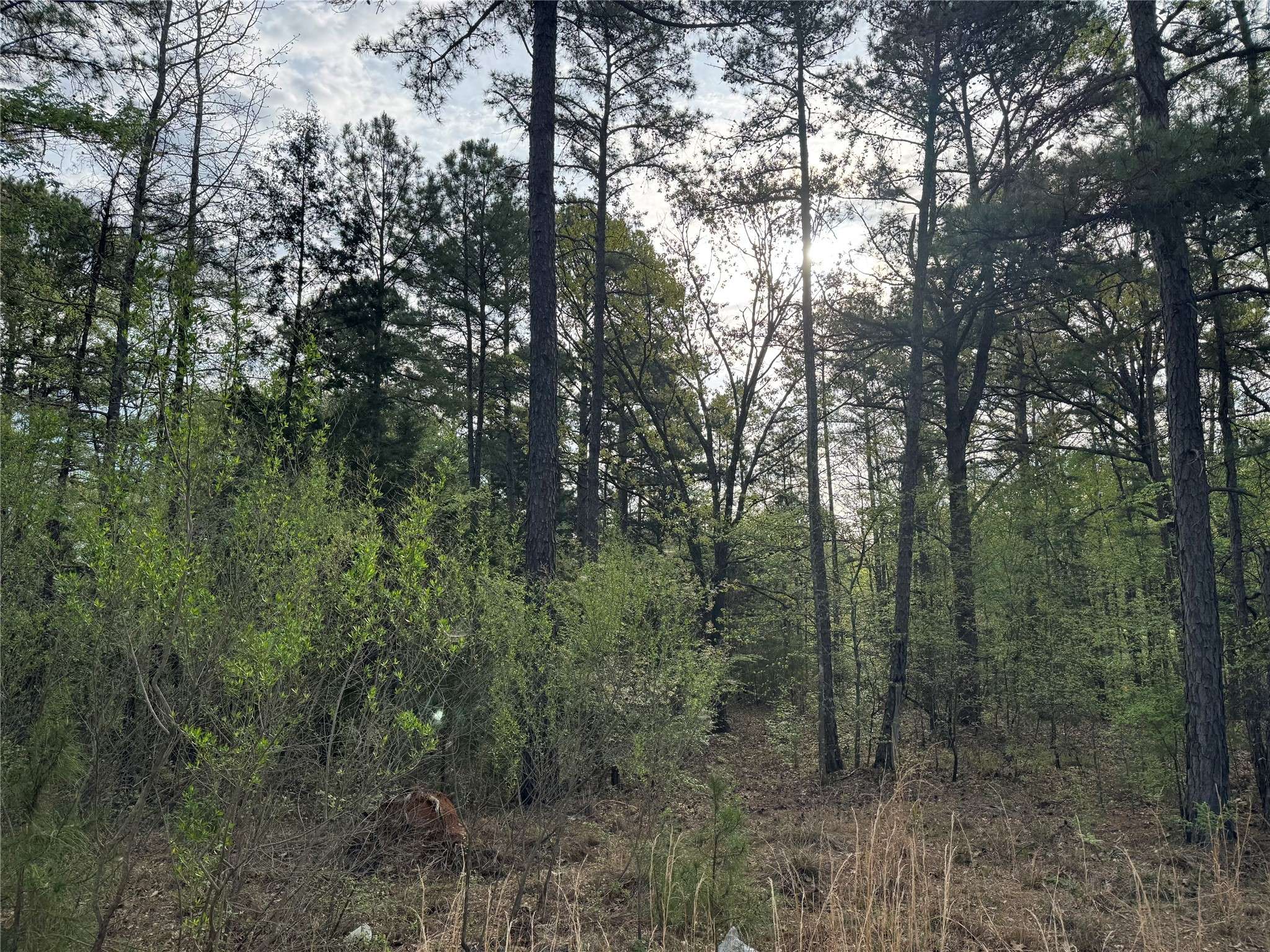 Gilmer, TX 75645,TBD Bobwhite RD