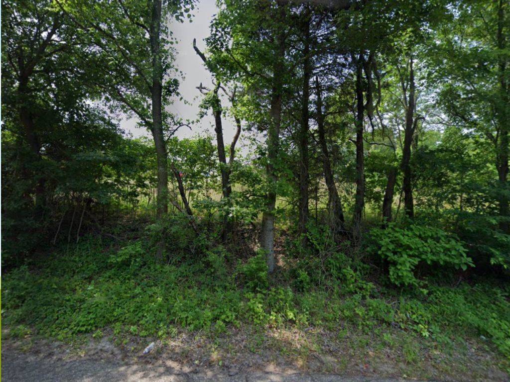 Canton, TX 75103,0 Vz County Road 4105