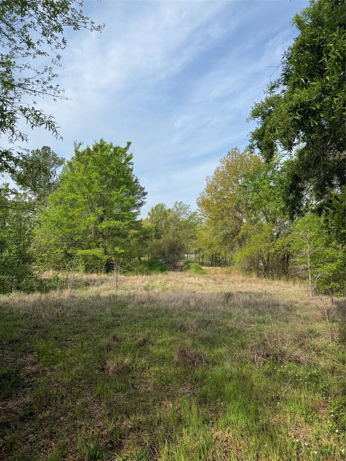 Gun Barrel City, TX 75156,341 Schooner RD