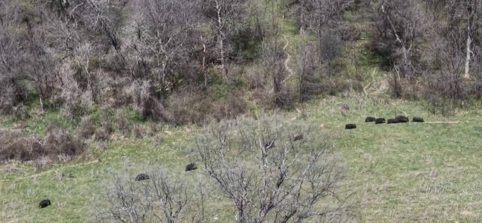 Jacksboro, TX 76458,3141 Rogers RD