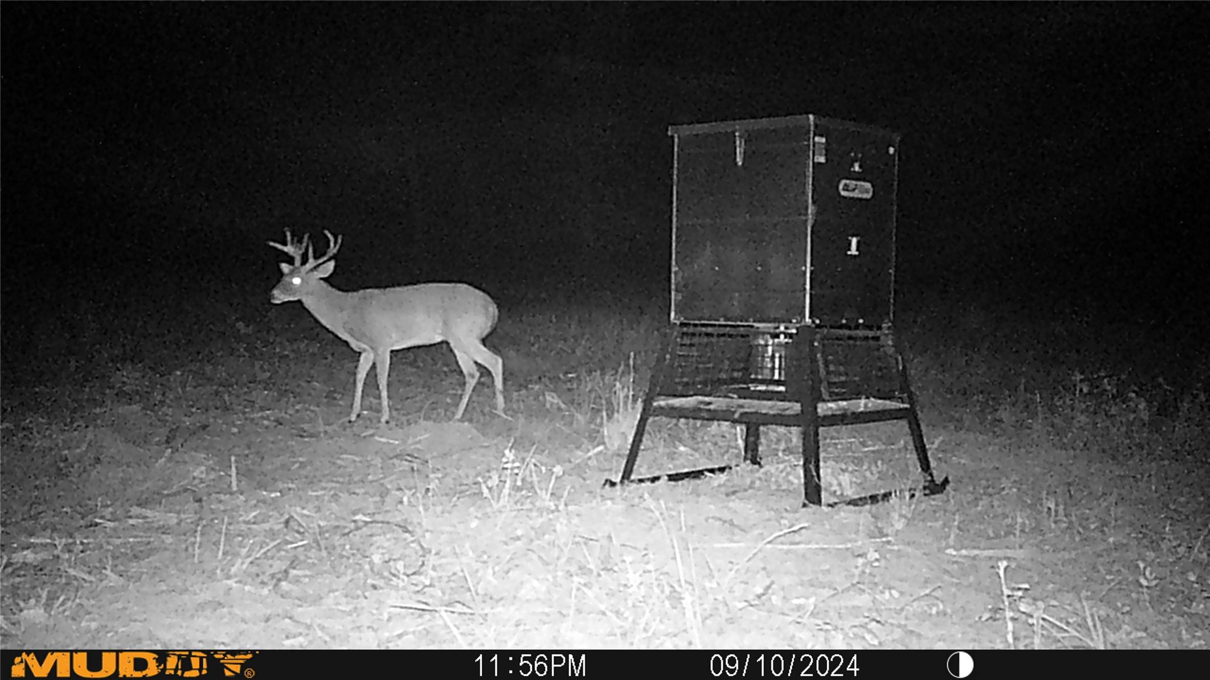 Ben Wheeler, TX 75754,TBD Private Rd 8079 RD