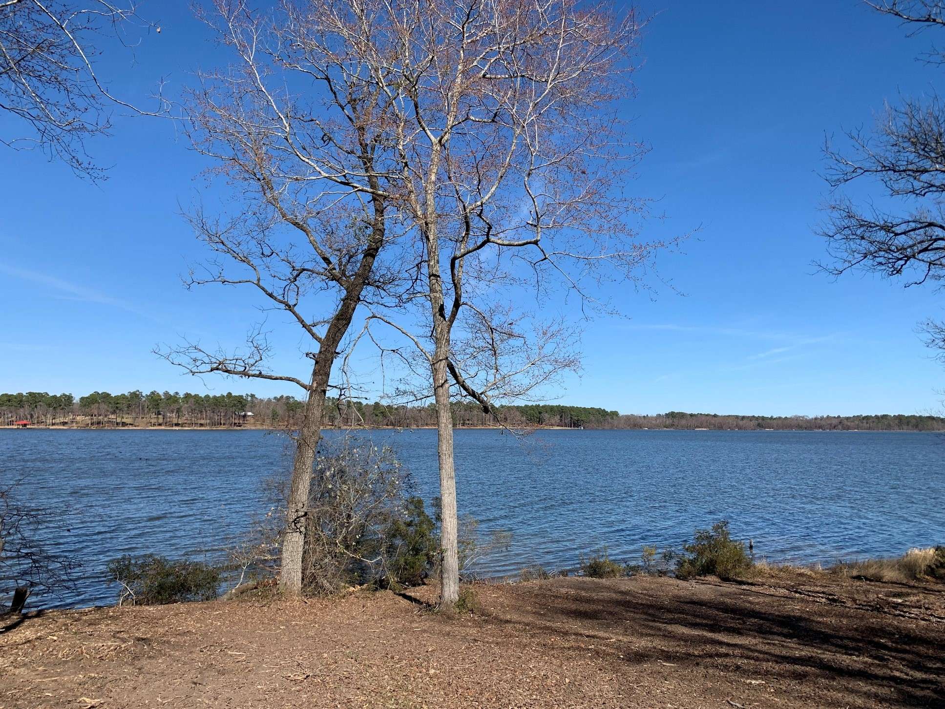 Larue, TX 75770,3266 Shadow Pine DR