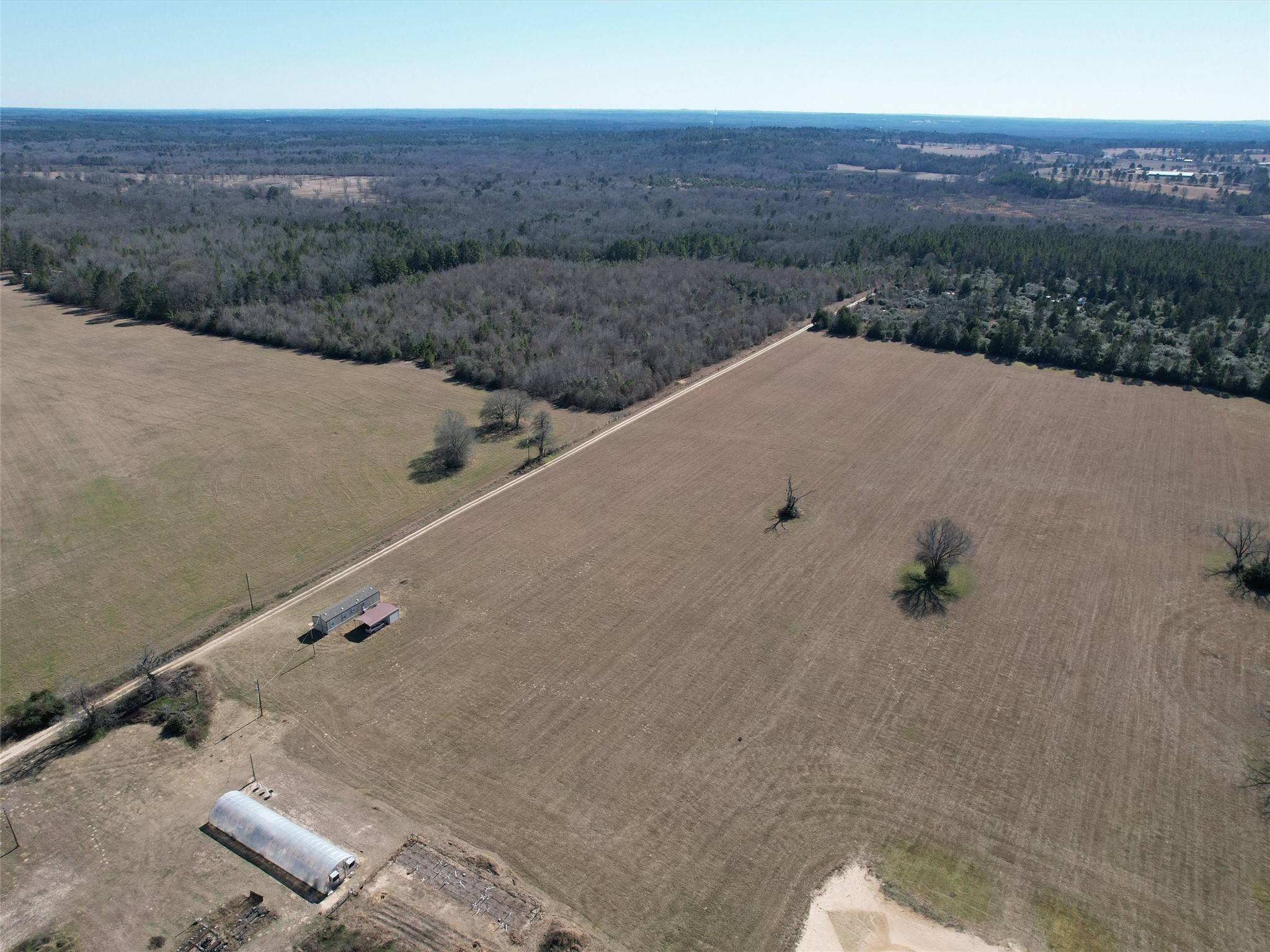 Big Sandy, TX 75765,TBD BAMBOO