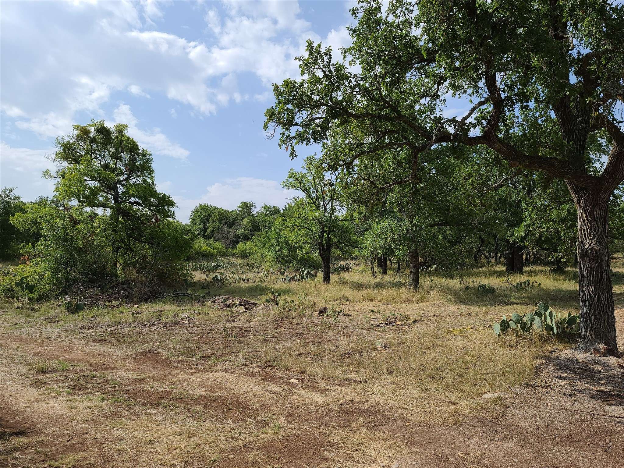 Brownwood, TX 76801,tbd Long View DR