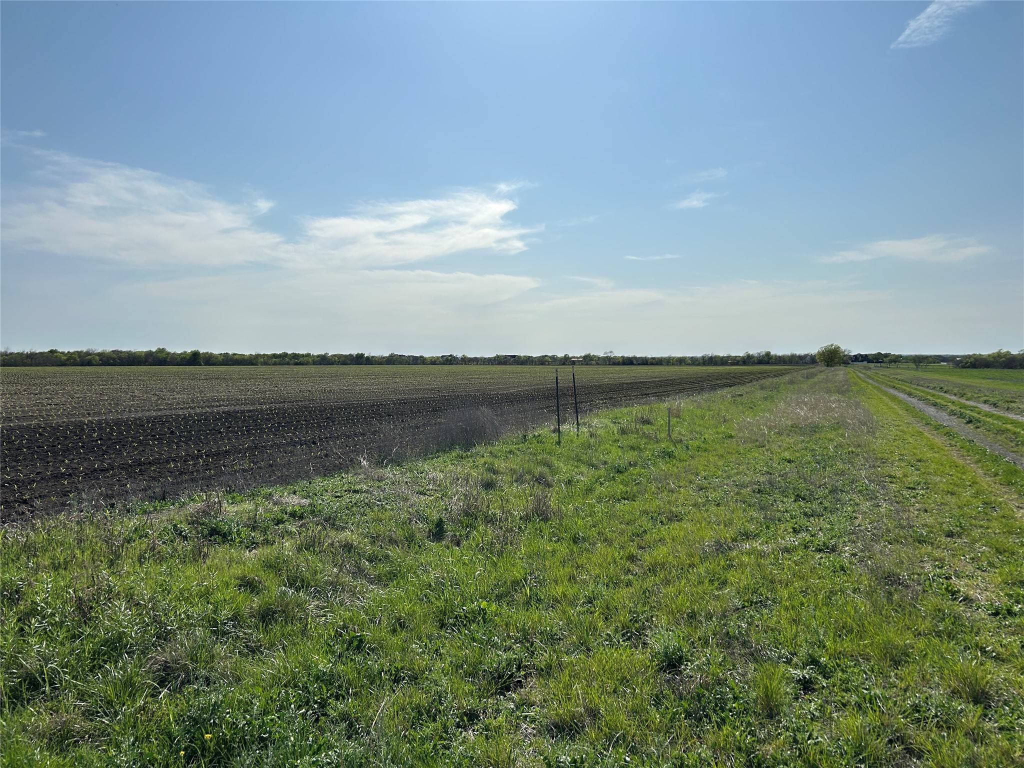 Celina, TX 75009,TBD Lot 12.1 Mark Alexander CT