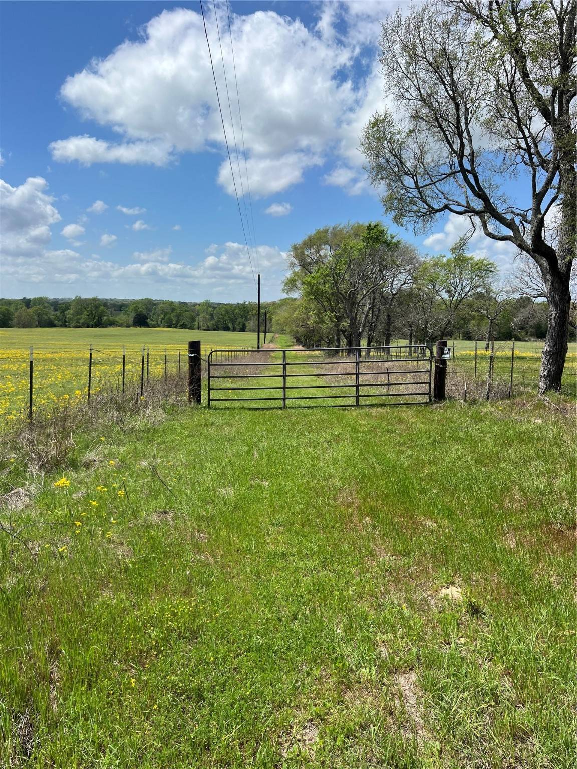 Palestine, TX 75803,16135 N State Highway 19