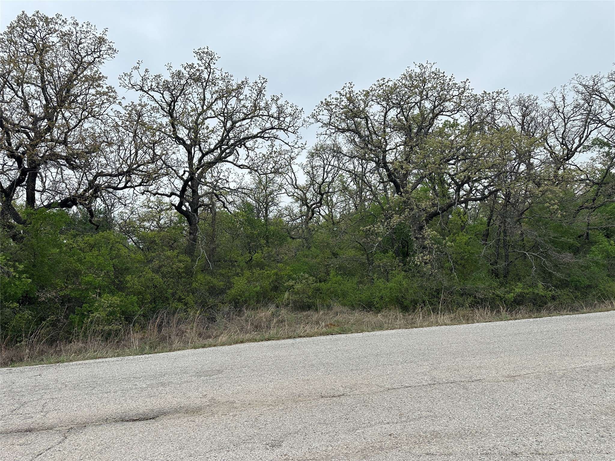 Runaway Bay, TX 76426,TBD Jim Walters DR