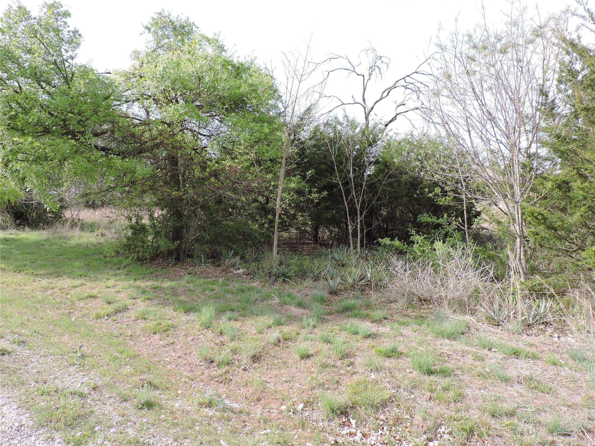Willow Park, TX 76087,Lot 1M Crest