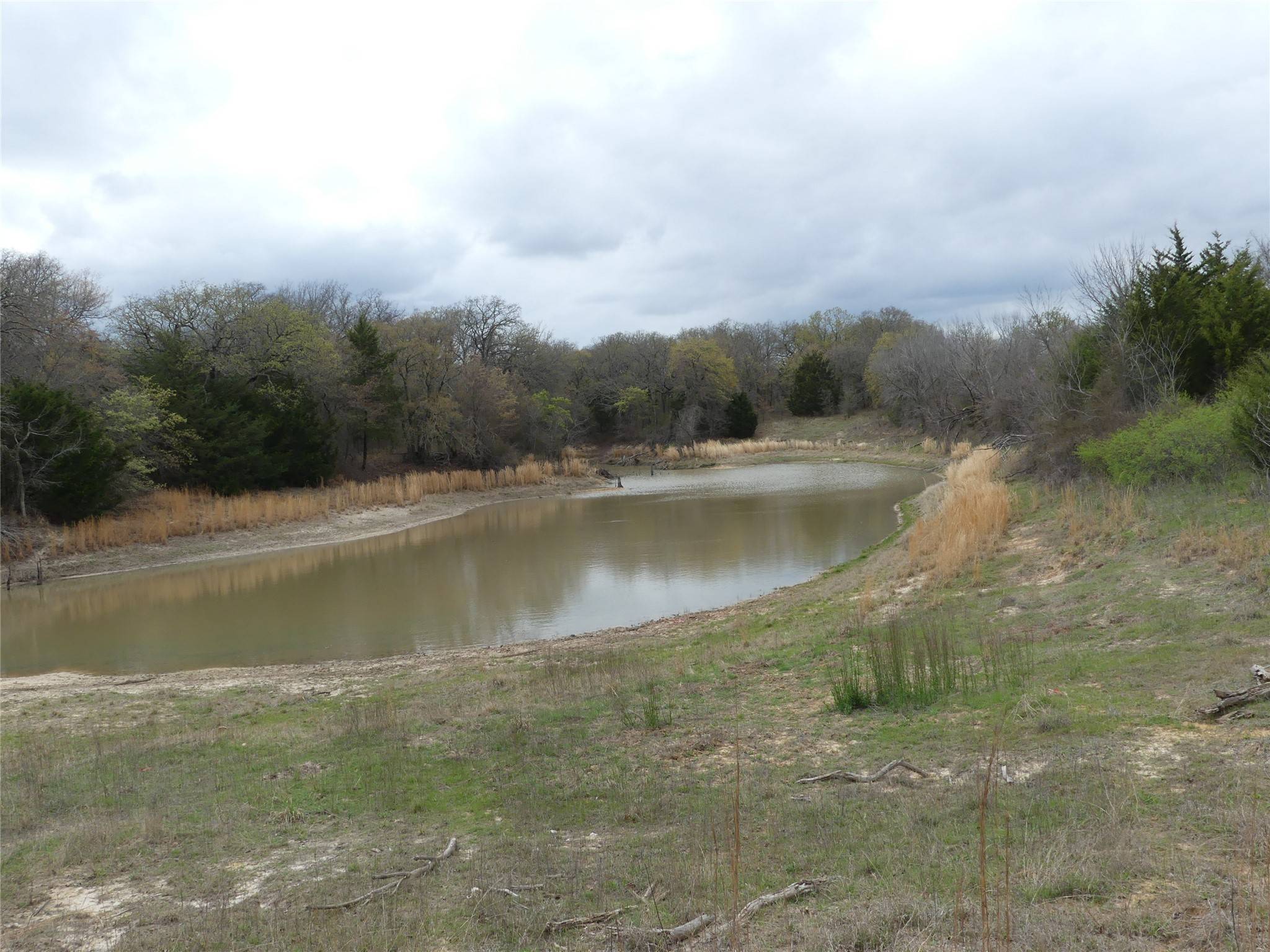 Forestburg, TX 76239,TBD Dye Mound Road