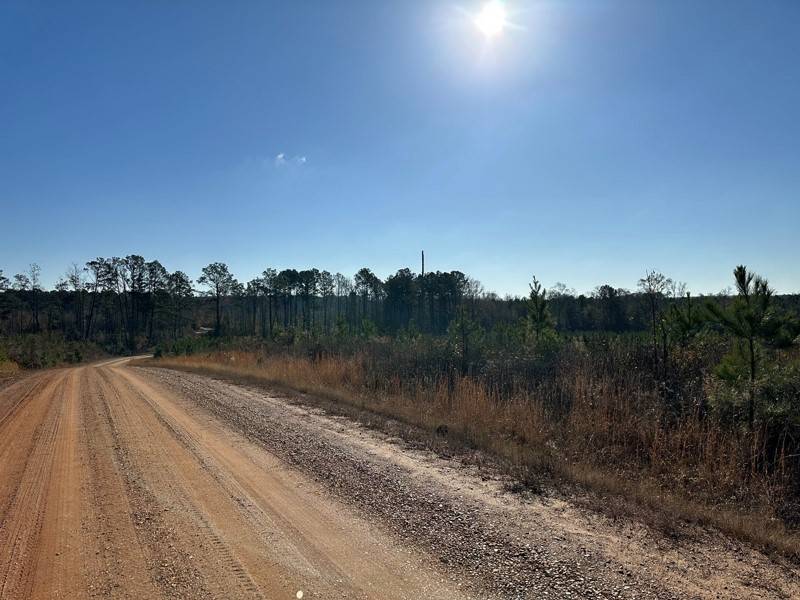 Bernice, LA 71277,27-22-2 LA Hwy 550 HWY